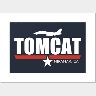 F-14 Tomcat Posters and Art